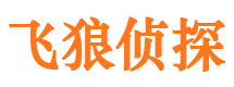 金凤婚外情调查取证